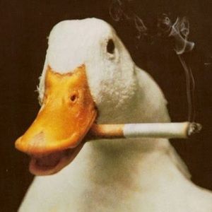 Meet your Posher, Count